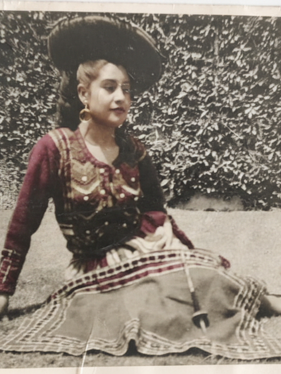 Gemini_Generated_Image_l6ibvll6ibvll6ib